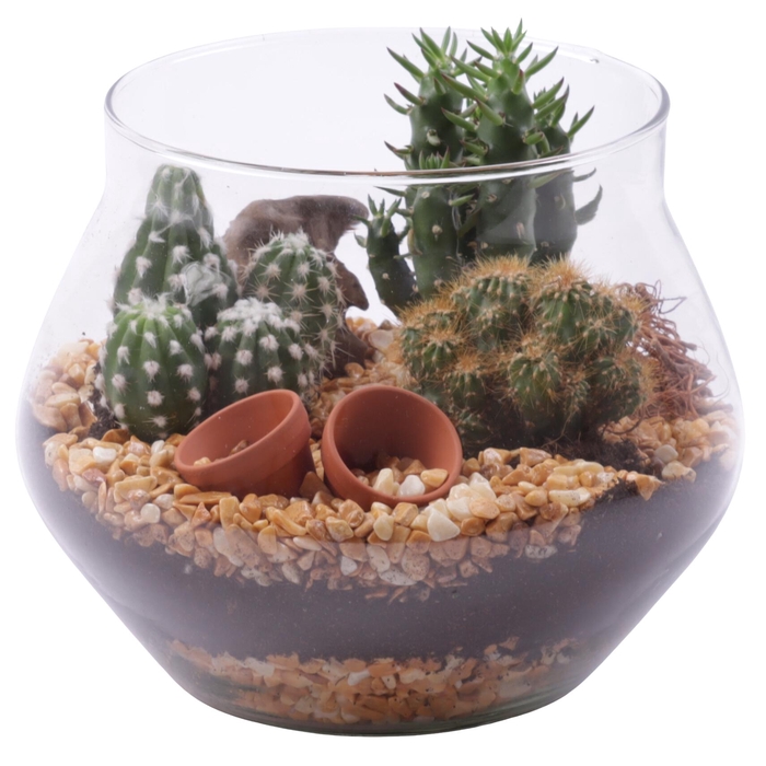 <h4>Yearround Arr. Cactus Glass UFO Vase Ø20cm 3PP</h4>