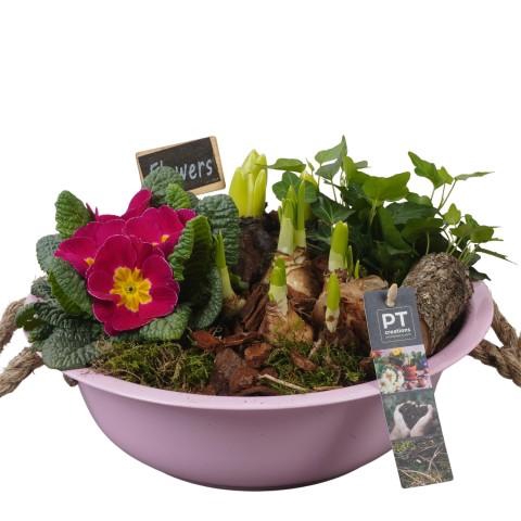 <h4>PTBM3712 Arrangementen Tuinplanten</h4>