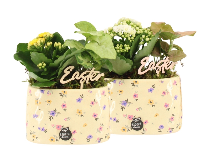 <h4>70880: Easter arrangement</h4>