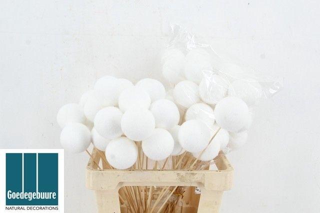 <h4>HUIS EN TUINDECO H%</h4>