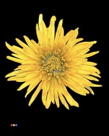 <h4>Chr G Anastasia Sunny Sparkling Silver</h4>