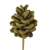 Pine cone 5-7cm on stem Sawdust Yellow