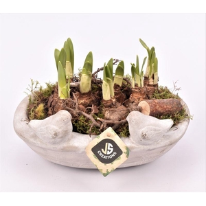 Cement voederschaal 25x16cm