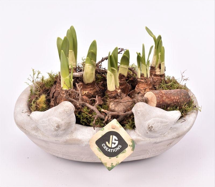 <h4>Cement voederschaal 25x16cm</h4>