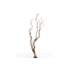 Syringa Branch Super Handel