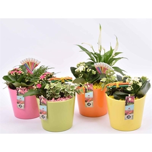 Keramiek pot kl.mix 12cm