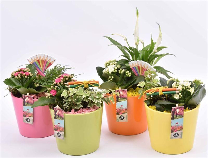 <h4>Keramiek pot kl.mix 12cm</h4>