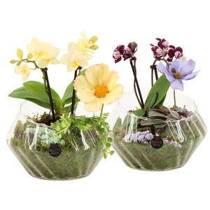 11580: Consideration arrangement