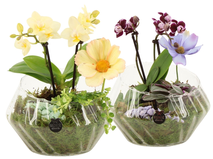 <h4>11580: Consideration arrangement</h4>