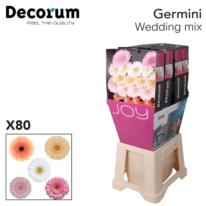 Germini Mix Wedding Diamond