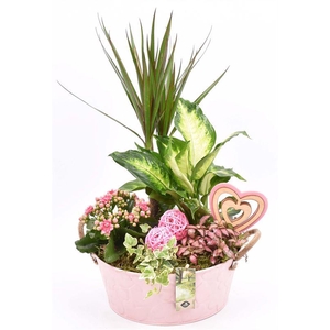 Zink schaal roze hart 25cm