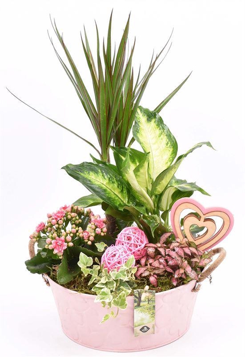 <h4>Zink schaal roze hart 25cm</h4>