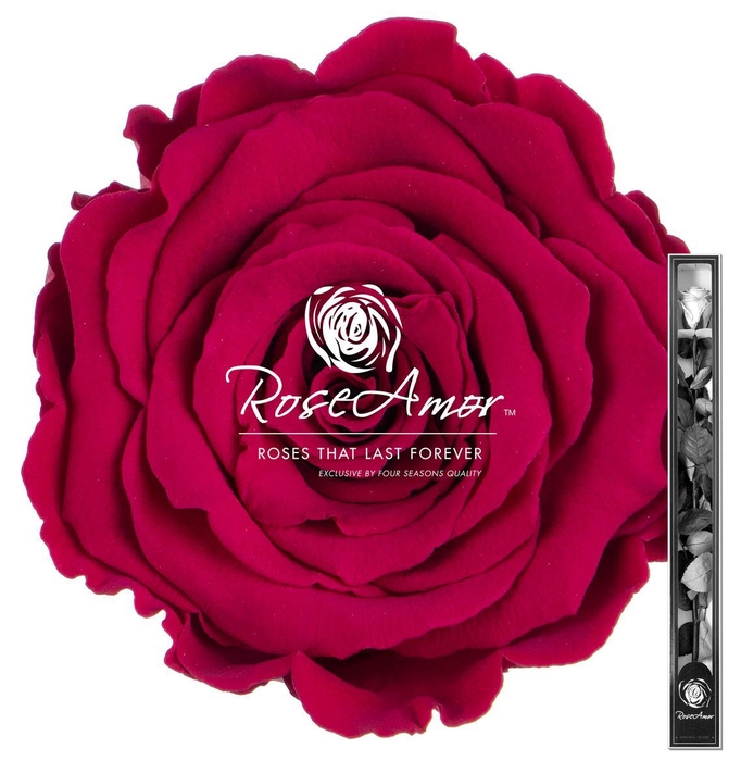 <h4>60cm Stem Pin05</h4>