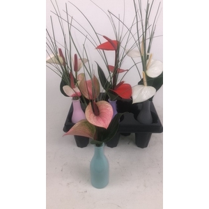 Ronde vaas 3 bloem in tray Ronde vaas 3 bloem in tray