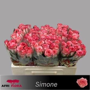 R GR SIMONE!