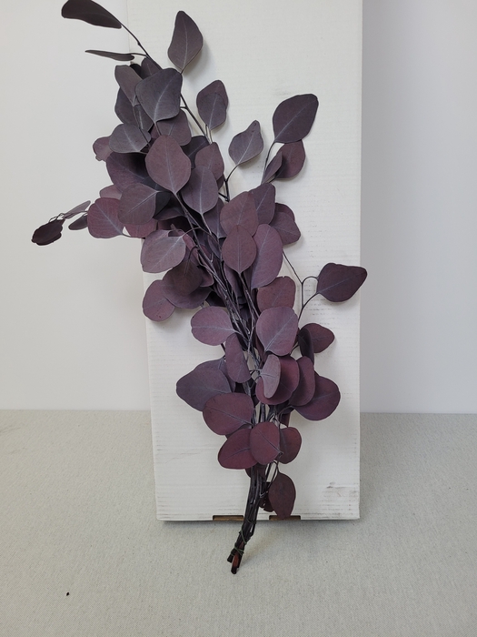 GESTABILISEERD EUC BABY ROOD