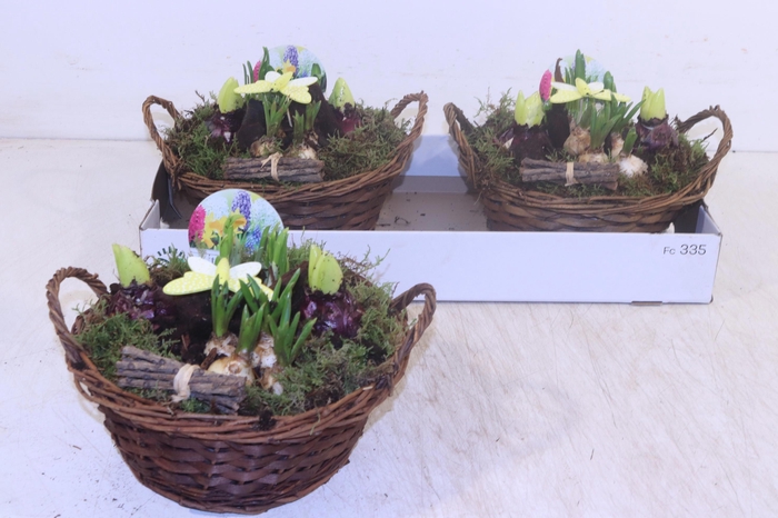 <h4>ARR BOL KNOLGEWAS</h4>