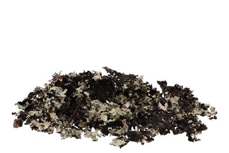 <h4>Nature Musgo P/250 Gram Nm</h4>