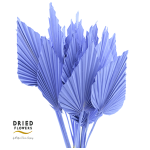 Dried Palm Spear Small Milka