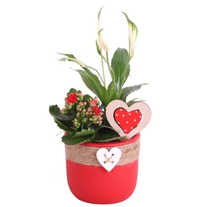 Valentine Arr. Indoor Ceramic Pot Round Rope Heart Red Ø14cm 2PP