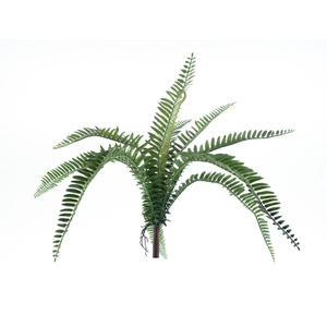 Fern Torres Sunrise small green 48c
