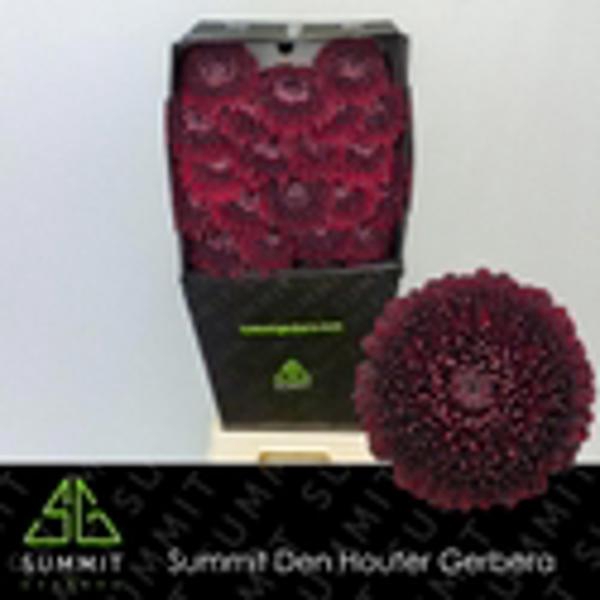 <h4>Ge Mi Pomponi Black Pearl Diamond</h4>
