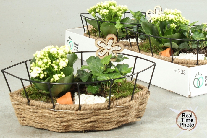 <h4>ARR KAMERPL</h4>