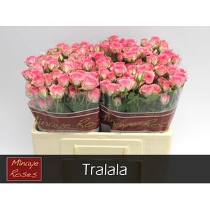 R TR TRALALA