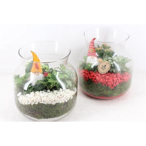 arr2 PL - Glas candy L x2 - rood/wit