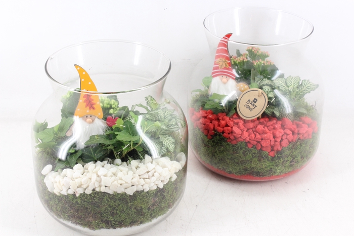 <h4>arr2 PL - Glas candy L x2 - rood/wit</h4>