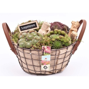 Gaasmand met jute 21x15.5cm