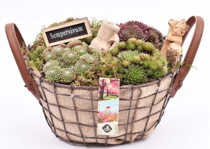 <h4>Gaasmand met jute 21x15.5cm</h4>