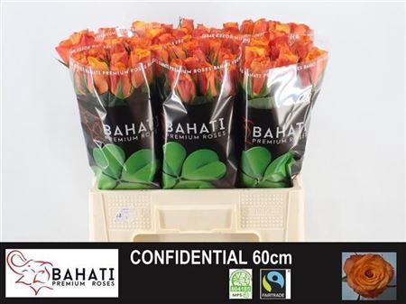 <h4>R Gr Confidential</h4>