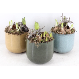 arr4 Bollenmix MB - Zink luxe potje mix x4