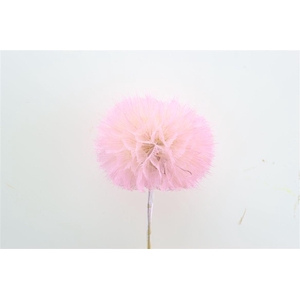 Pres Puste Flower Baby Satin Pink