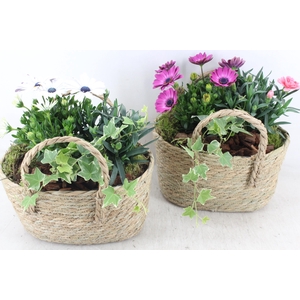 arr4 Outdoor PL - Mand hengsel ovaal 344/4