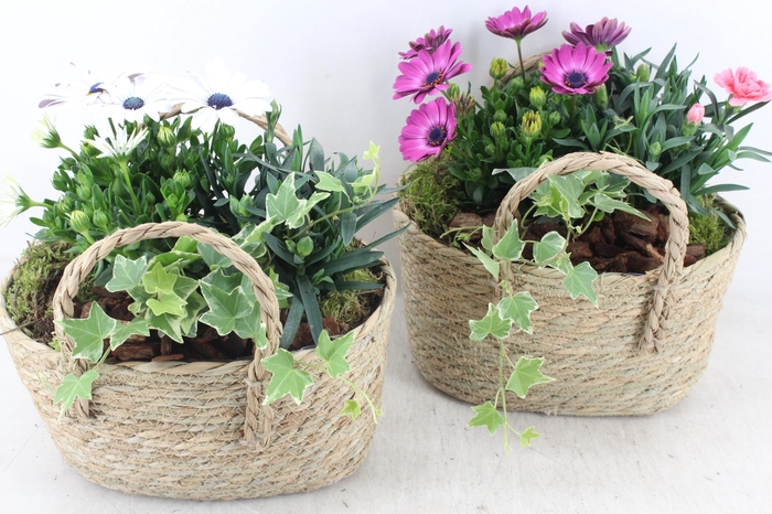 <h4>arr4 Outdoor PL - Mand hengsel ovaal 344/4</h4>