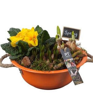 Arr.   Tuinplanten L%