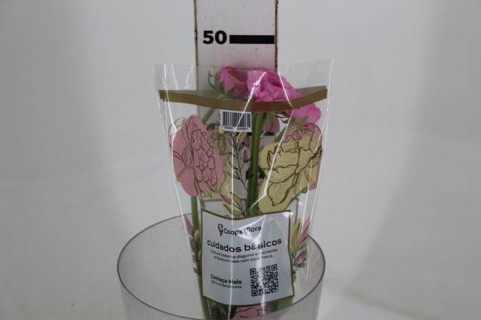 <h4>RANUN. ELEGANCE ROSA 040 CM ROSA CLARO</h4>