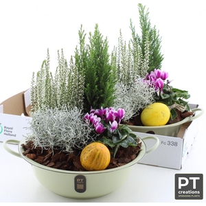 ARR TUINPLANTEN