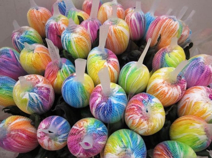 <h4>Chr G Tutu Rainbow</h4>