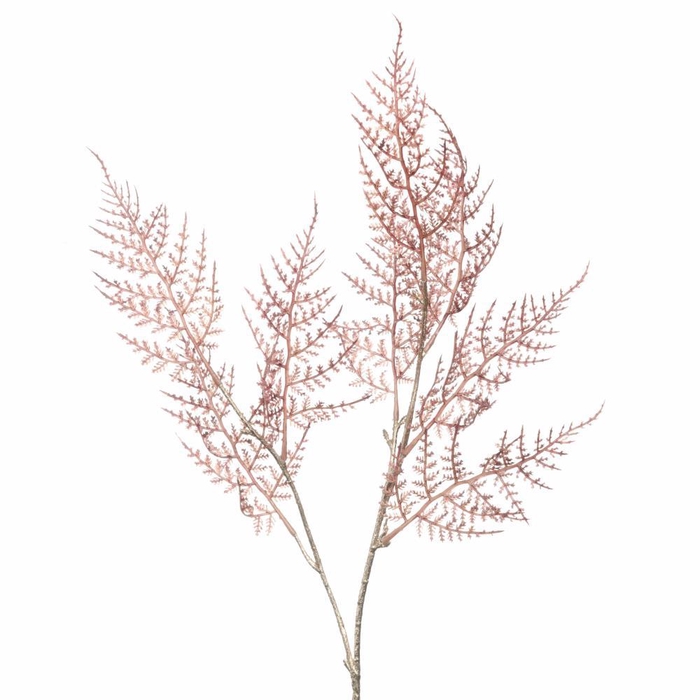 <h4>AF Aspa Spray L73cm Magenta</h4>