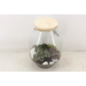 arr2 MB - Glas Venice green mix