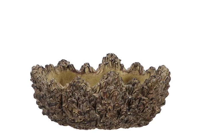 <h4>Concrete Natural Pinecone Bowl Oval Edge 22x15x10cm Nm</h4>