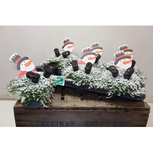 arr8 Solei Sol Groen + Snowman Deco