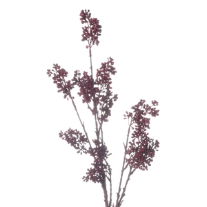 Af Callicarpa L69cm Rood