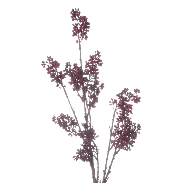 <h4>Af Callicarpa L69cm Rood</h4>