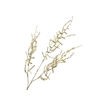 Asparagus Green Gold