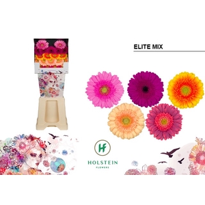 Ge Mi Elite Mix Gem