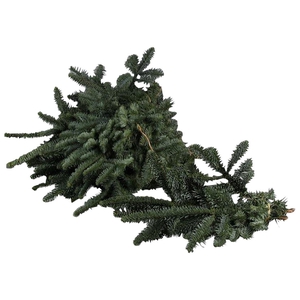 Nobilis Handbos
